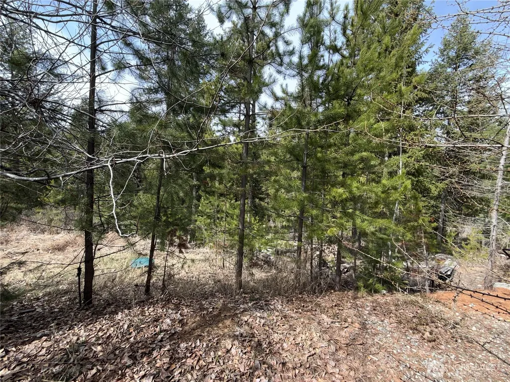 37 Gardner Creek Road Republic WA 99166