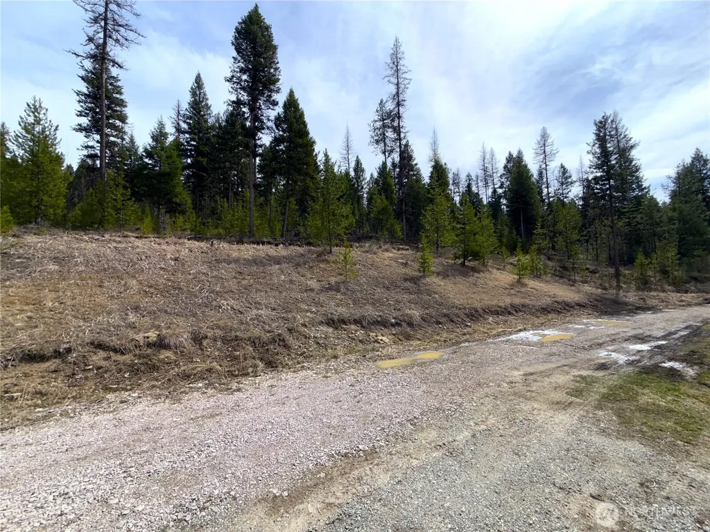 37 Gardner Creek Road Republic WA 99166