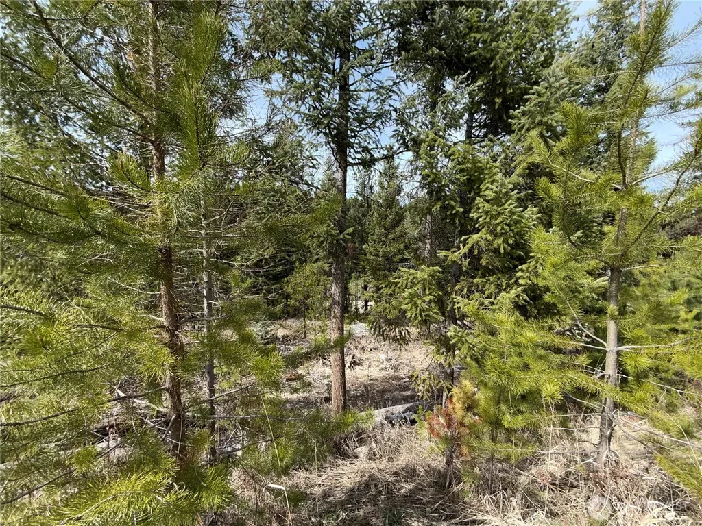 37 Gardner Creek Road Republic WA 99166