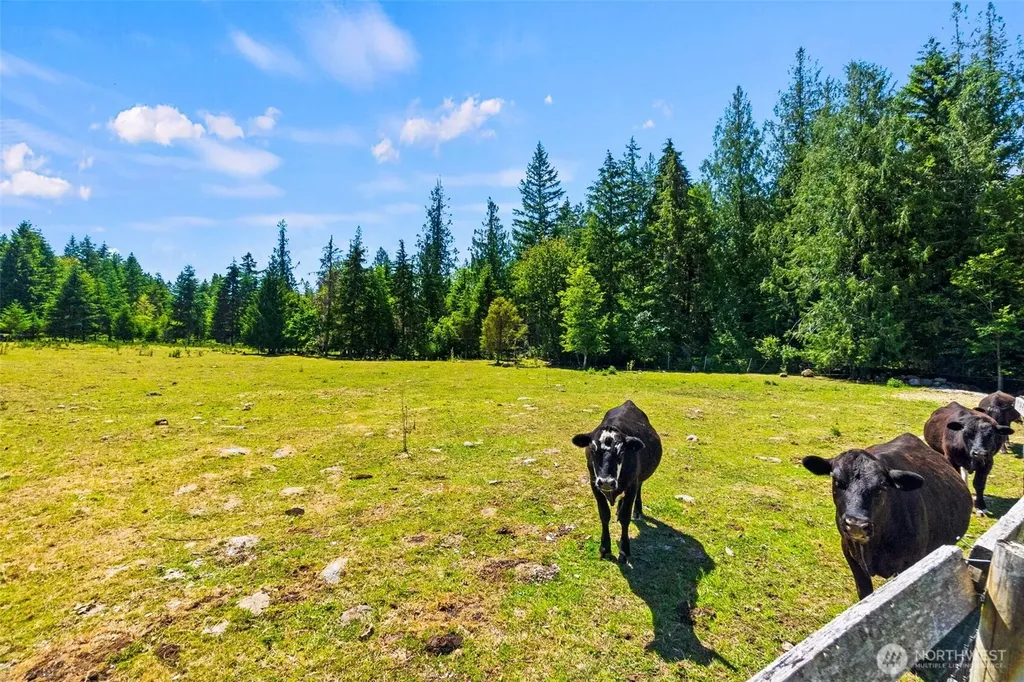 14710 Mcintosh Lane SE Tenino WA 98589