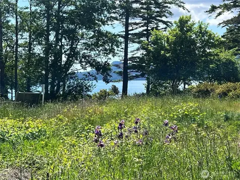 0 Main Street S Orcas Island WA 98245