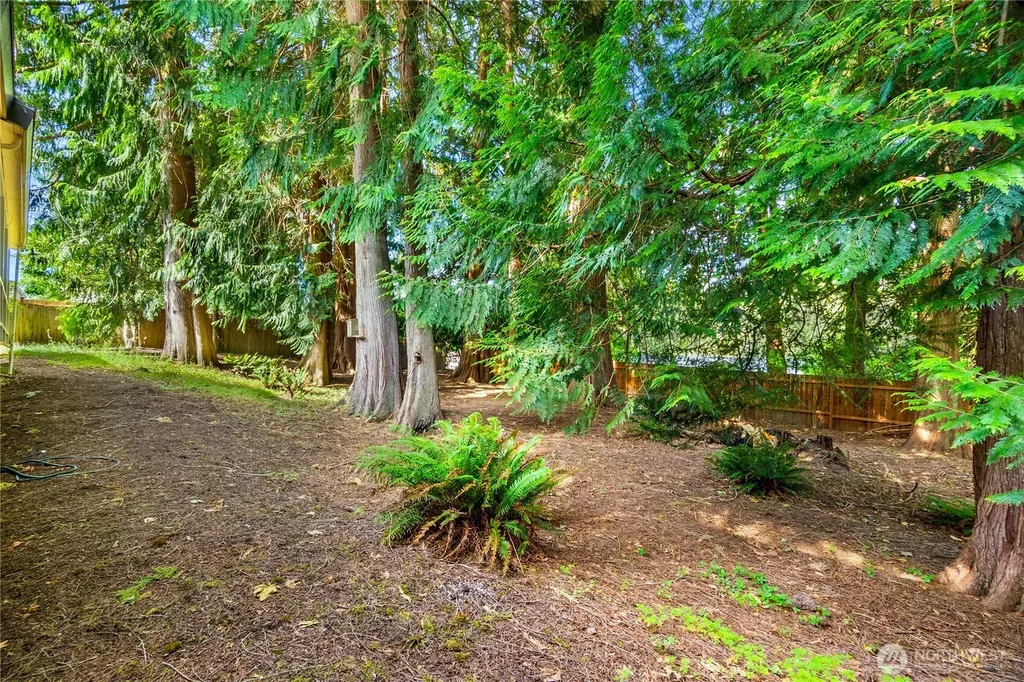 3709 Wesley Loop NW Olympia WA 98502