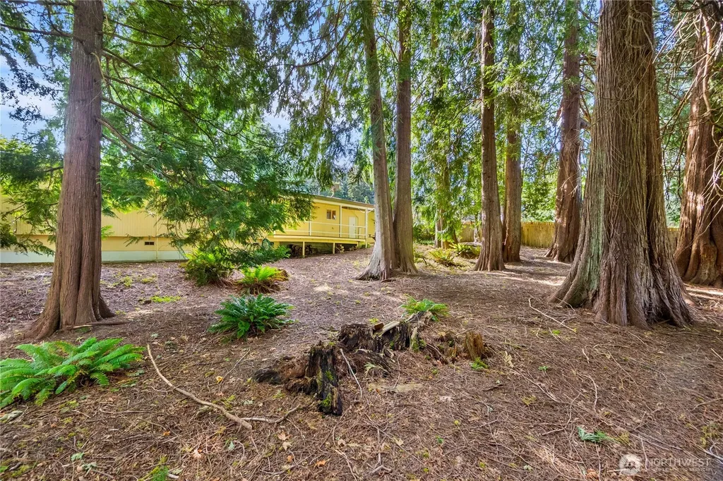 3709 Wesley Loop NW Olympia WA 98502
