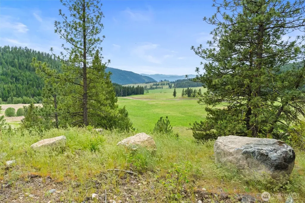 311 Old Baldy Tract D, K & L Road Rice WA 99126