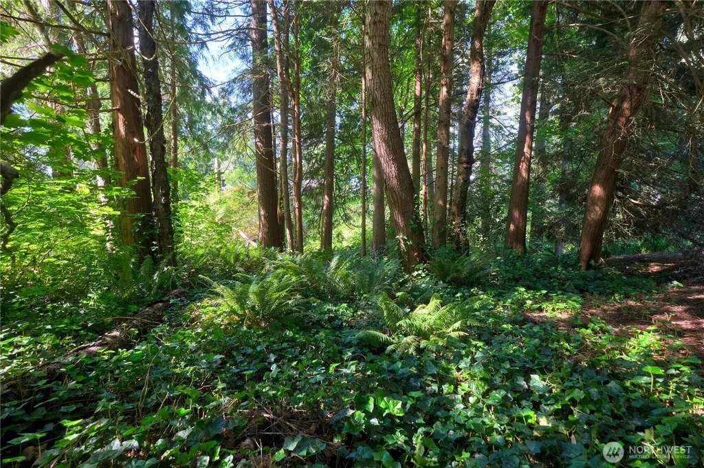 0 Province Road Point Roberts WA 98281