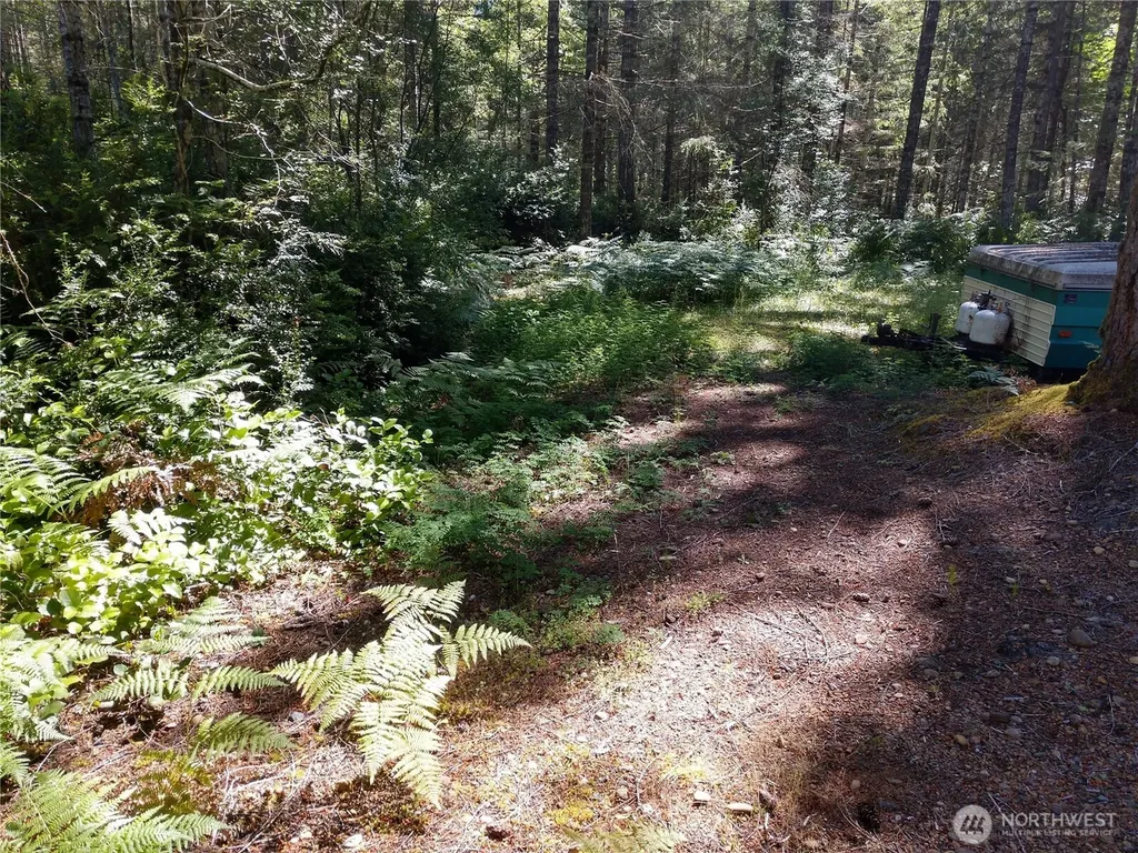221 NE Madrona Avenue Tahuya WA 98588