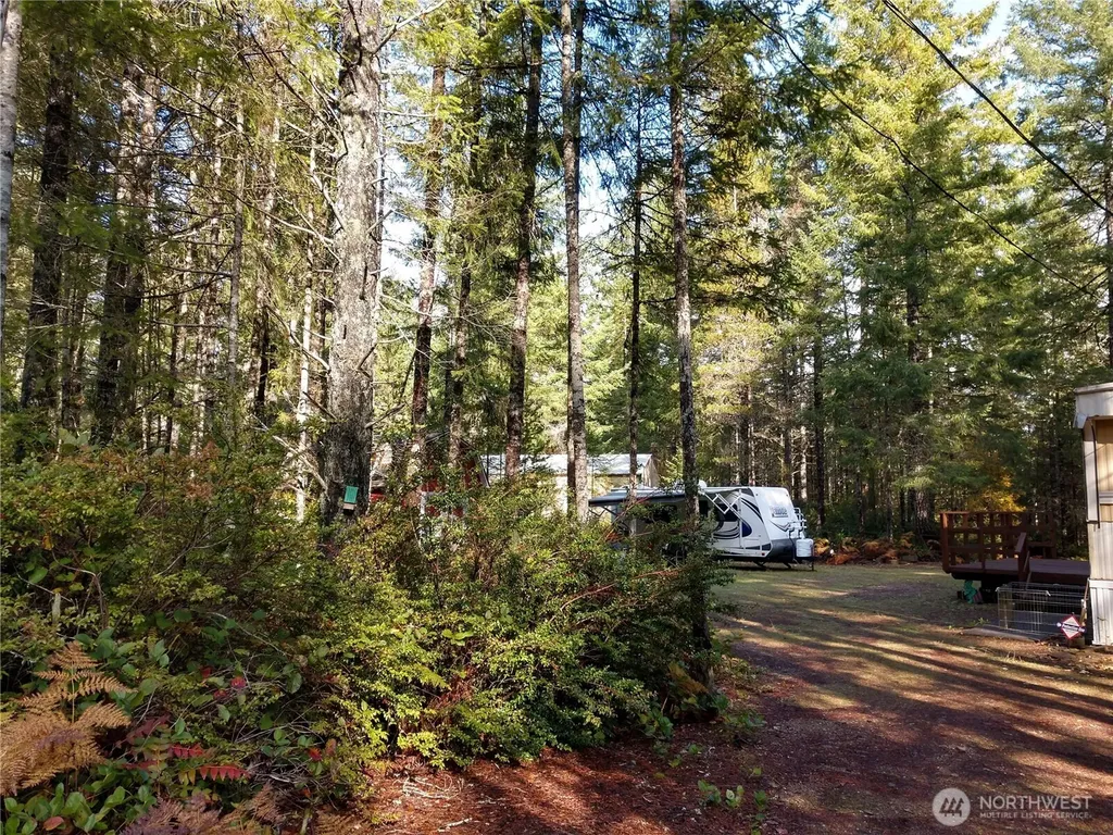 221 NE Madrona Avenue Tahuya WA 98588