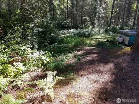 221 NE Madrona Avenue Tahuya WA 98588