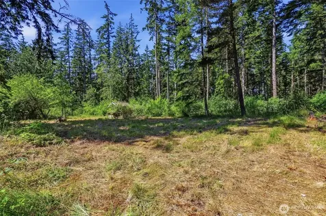 658 Lewis Lane Camano Island WA 98282