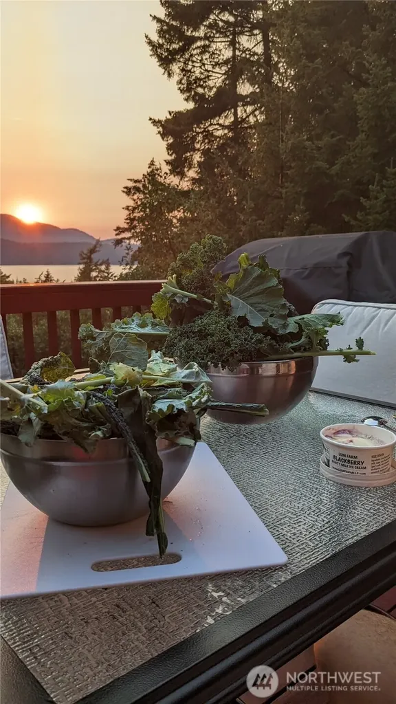 227 Bromley Drive Orcas Island WA 98245