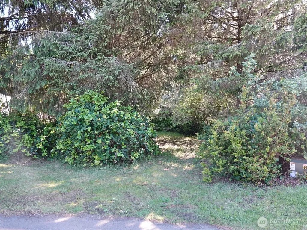 223 Muskrat Court SW Ocean Shores WA 98569