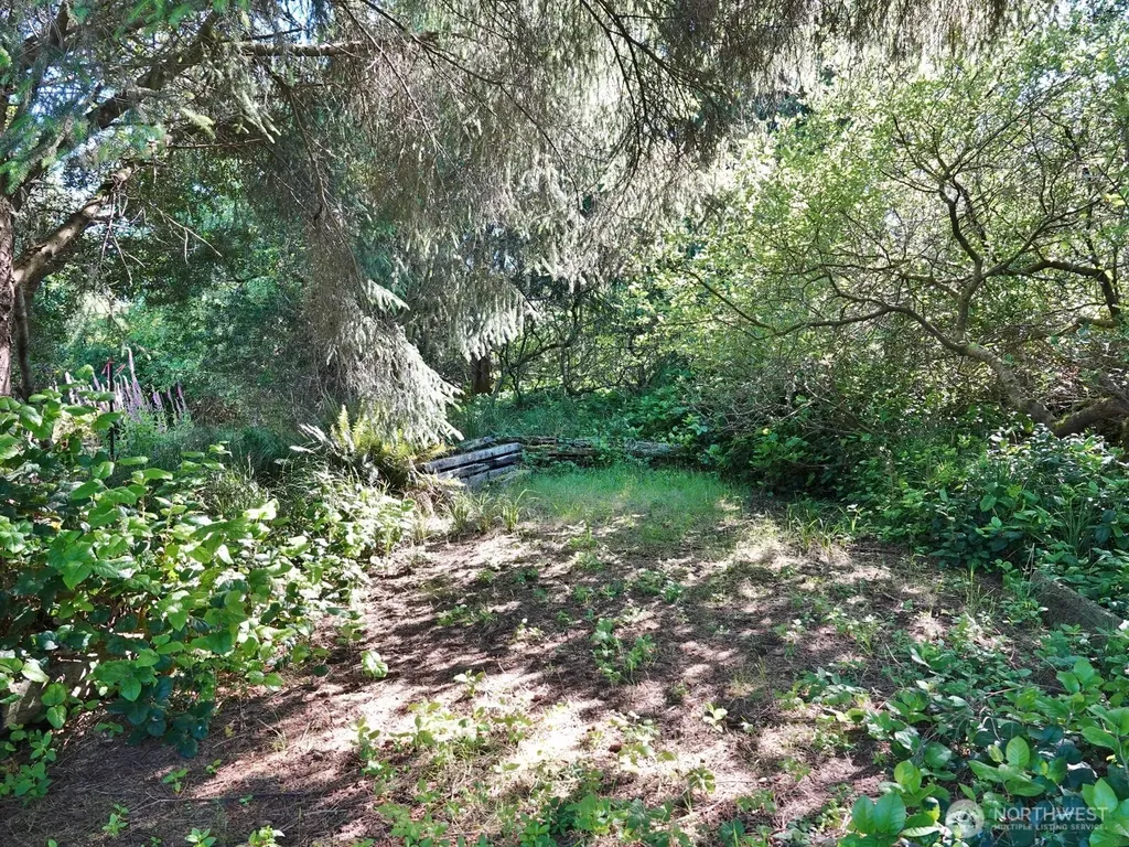 223 Muskrat Court SW Ocean Shores WA 98569