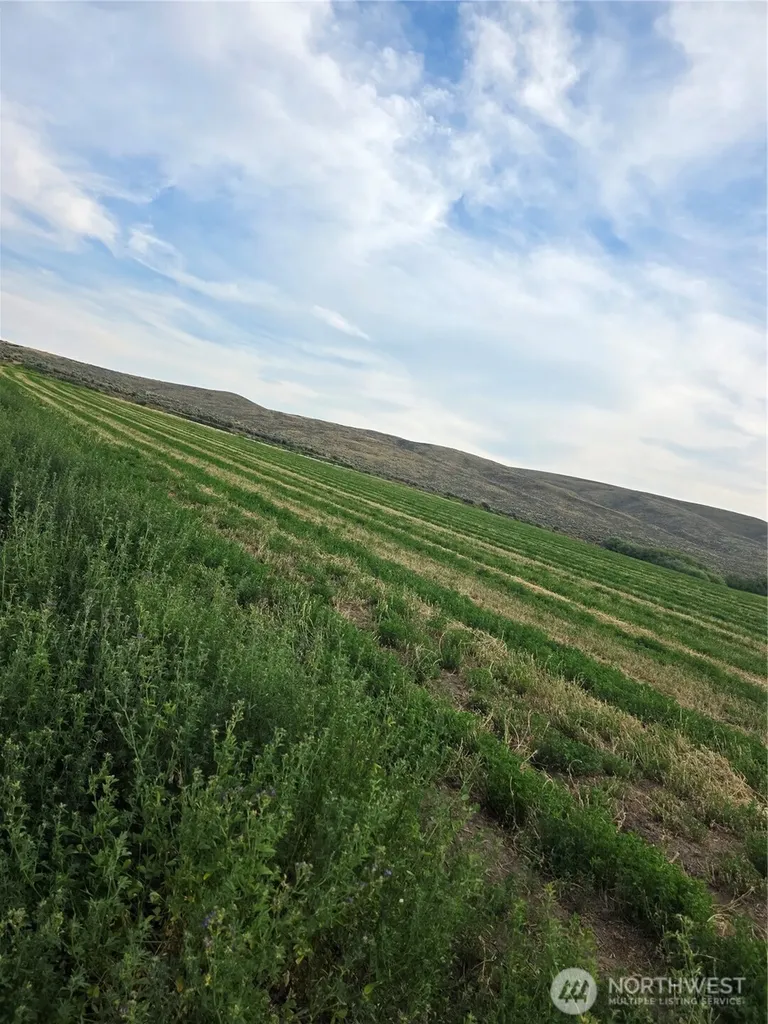 2 Borland Ellensburg WA 98926