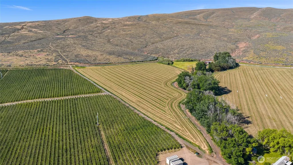 2 Borland Ellensburg WA 98926