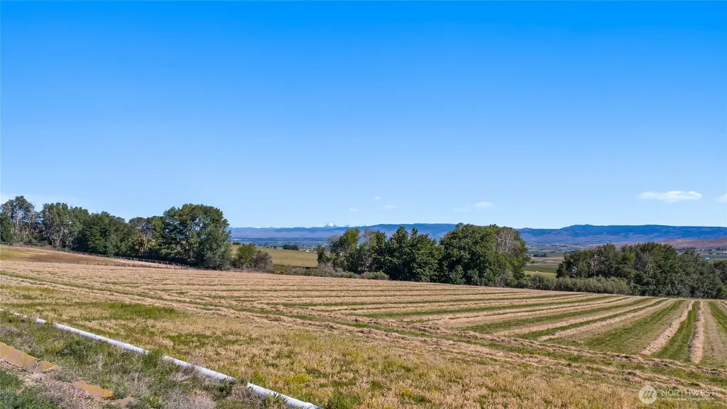 2 Borland Ellensburg WA 98926