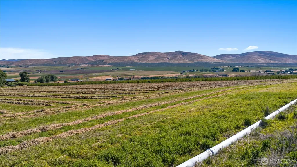 2 Borland Ellensburg WA 98926