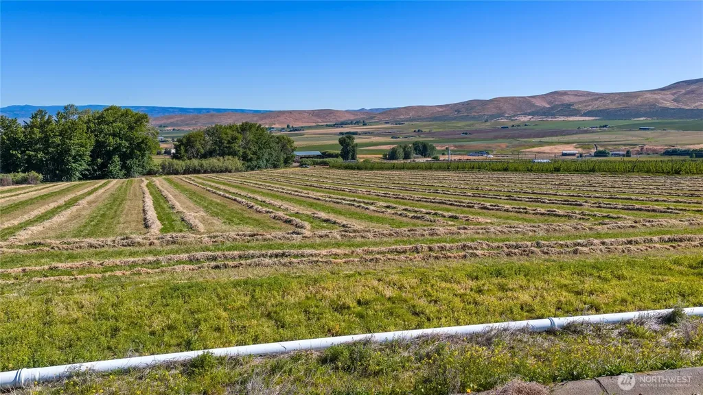 2 Borland Ellensburg WA 98926