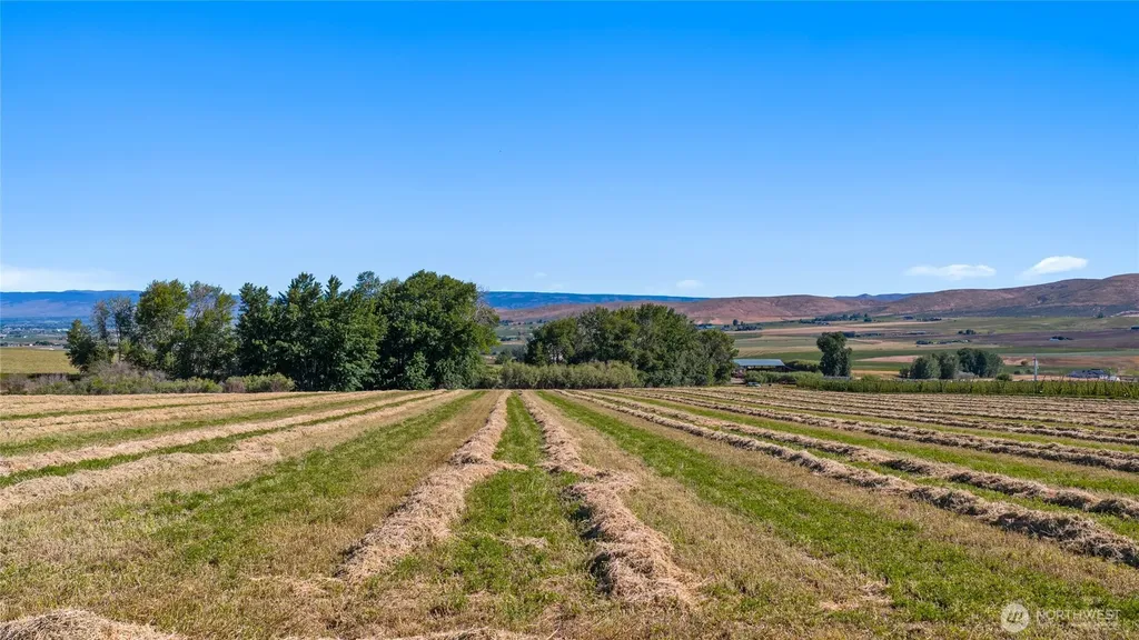 2 Borland Ellensburg WA 98926