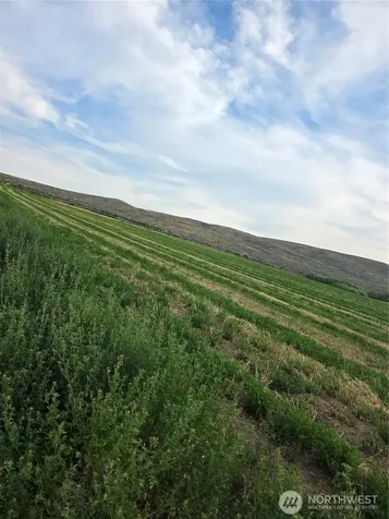 2 Borland Ellensburg WA 98926