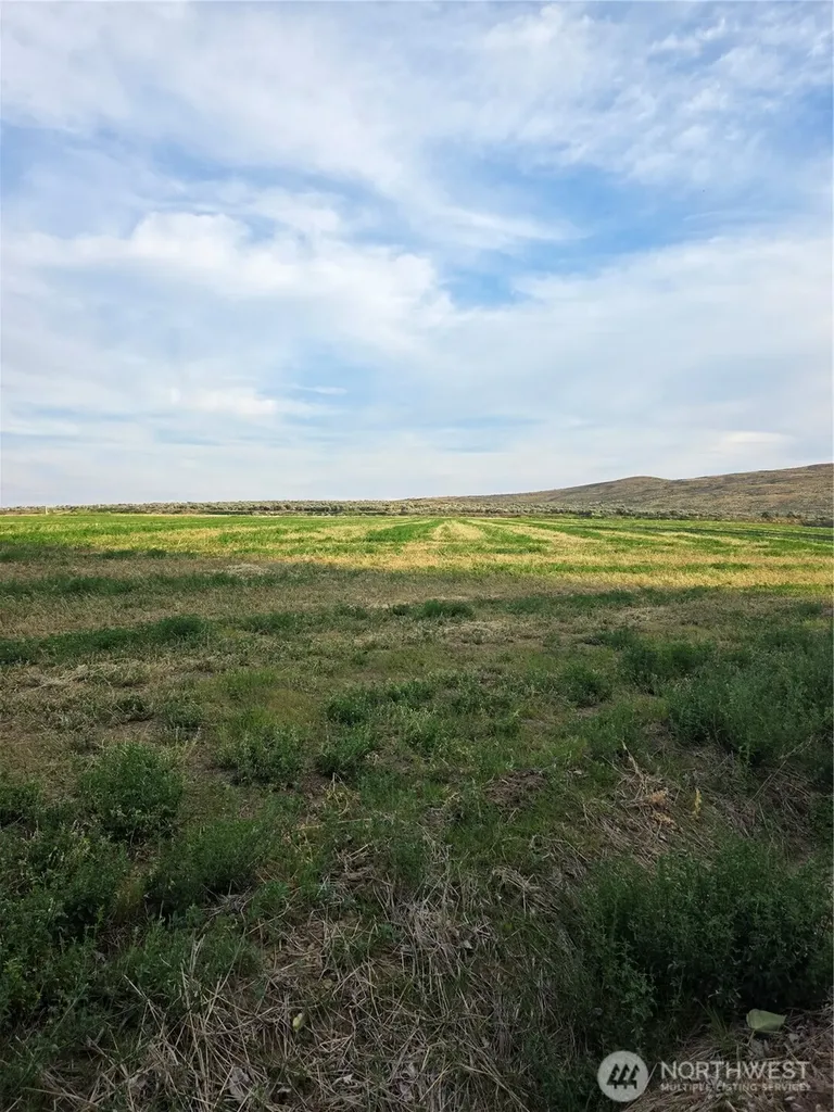 3 Borland Ellensburg WA 98926