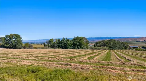 3 Borland Ellensburg WA 98926