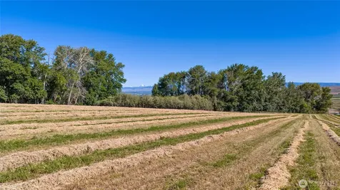 3 Borland Ellensburg WA 98926