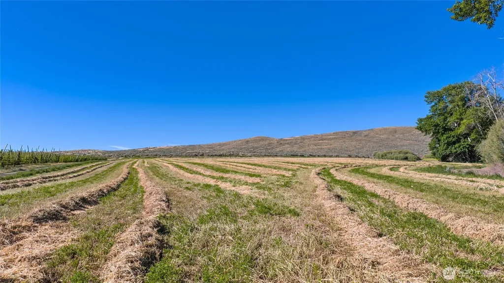 1 Borland Ellensburg WA 98926