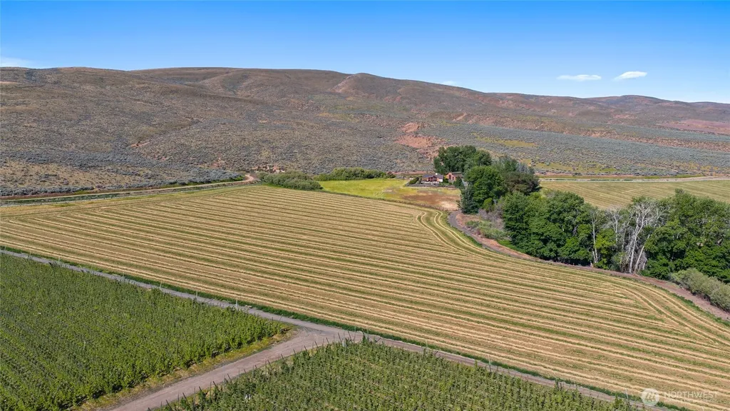 1 Borland Ellensburg WA 98926