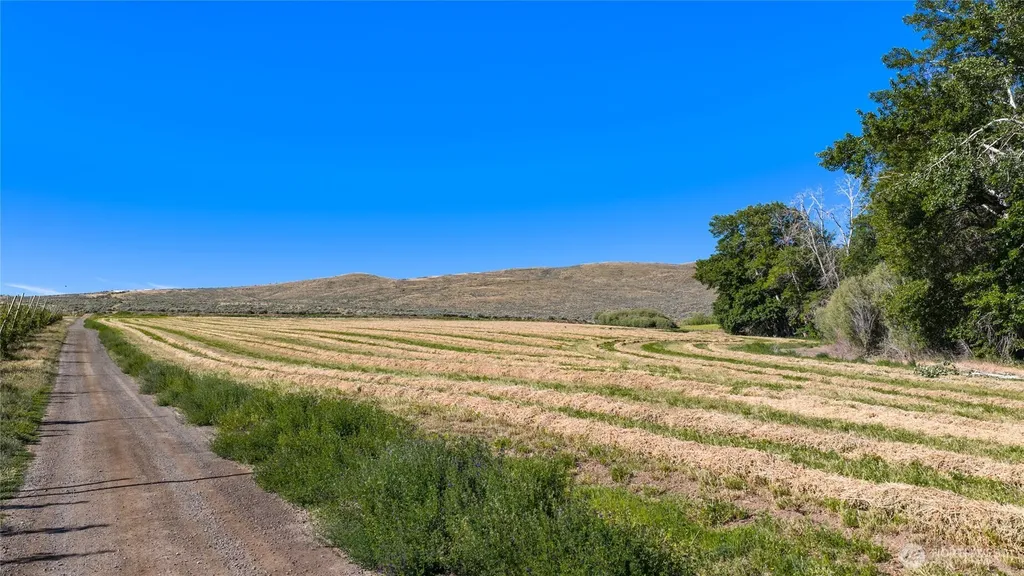 1 Borland Ellensburg WA 98926