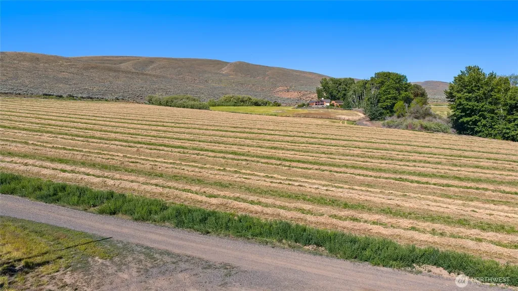 1 Borland Ellensburg WA 98926