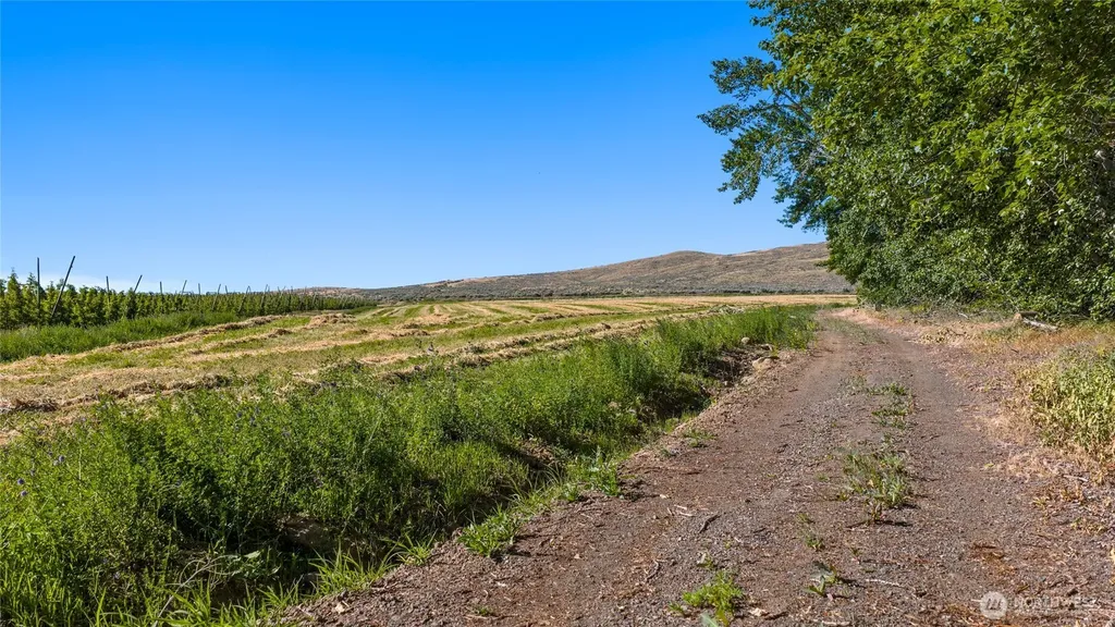 1 Borland Ellensburg WA 98926