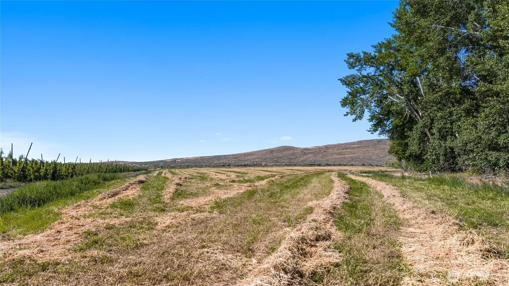 1 Borland Ellensburg WA 98926