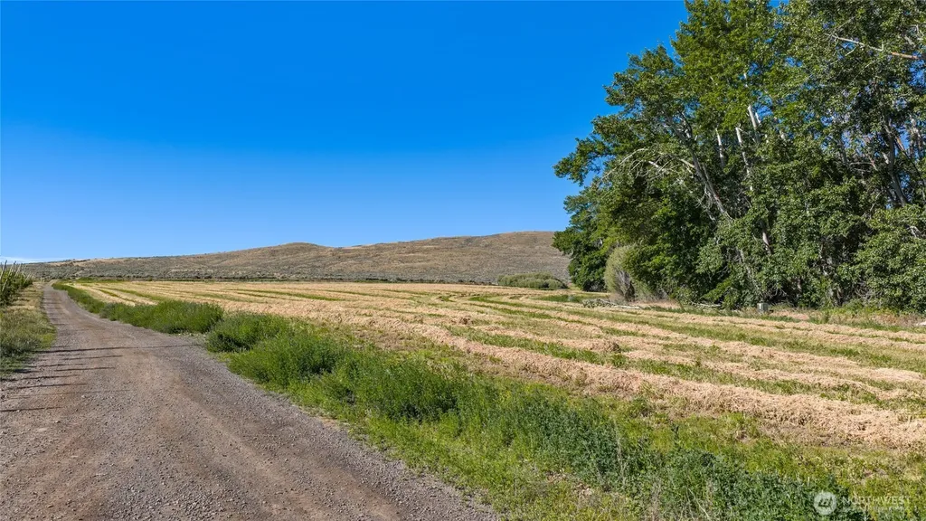 1 Borland Ellensburg WA 98926