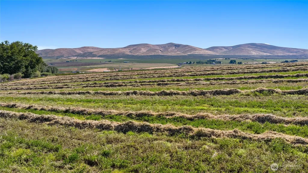 1 Borland Ellensburg WA 98926