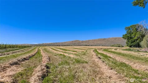 1 Borland Ellensburg WA 98926