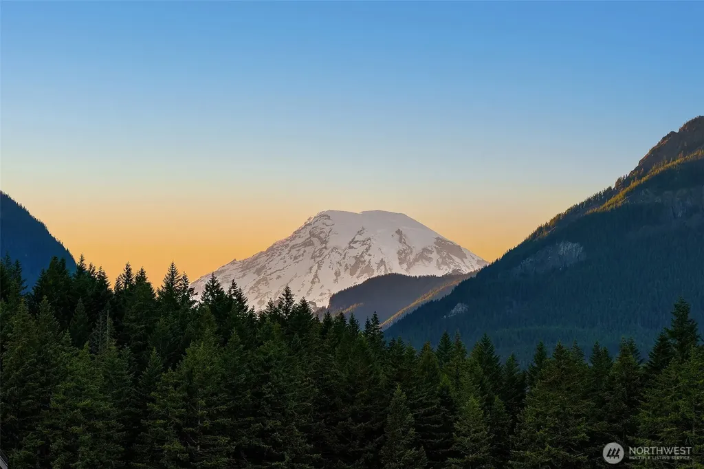 150 Burl Lane Packwood WA 98361