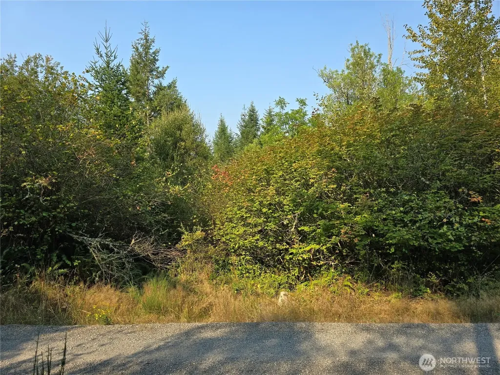 13849 Starflower Lane SE Yelm WA 98597