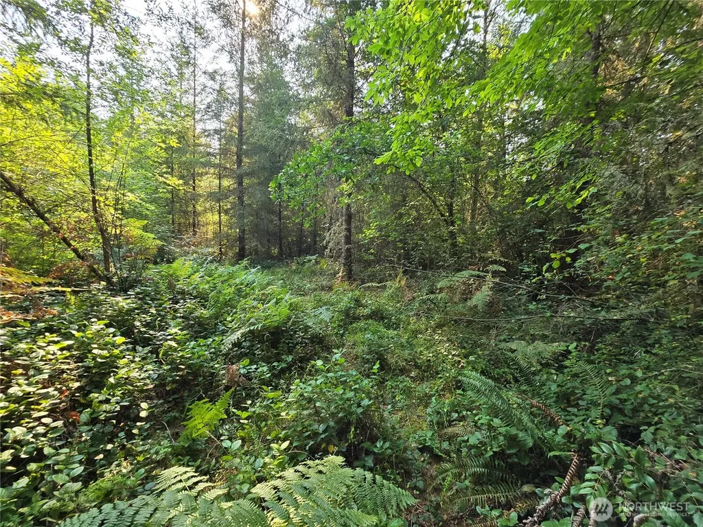 13849 Starflower Lane SE Yelm WA 98597