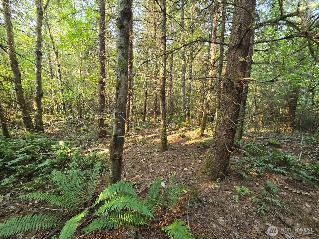 13849 Starflower Lane SE Yelm WA 98597