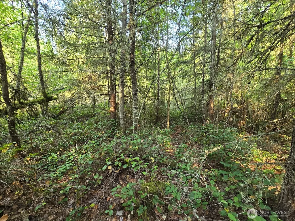 13849 Starflower Lane SE Yelm WA 98597