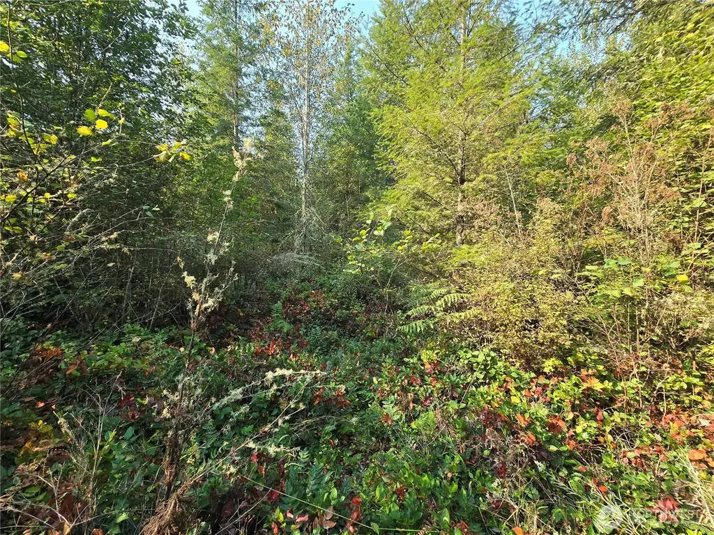 13849 Starflower Lane SE Yelm WA 98597