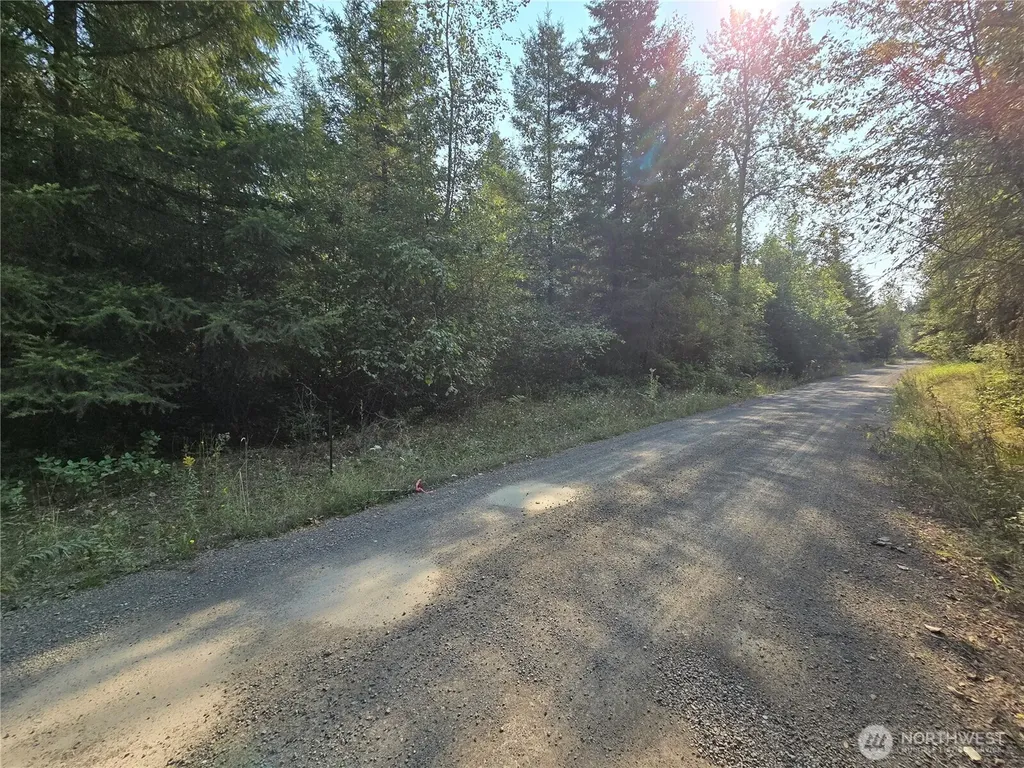 13849 Starflower Lane SE Yelm WA 98597