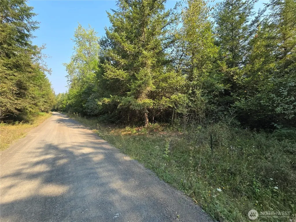 13849 Starflower Lane SE Yelm WA 98597