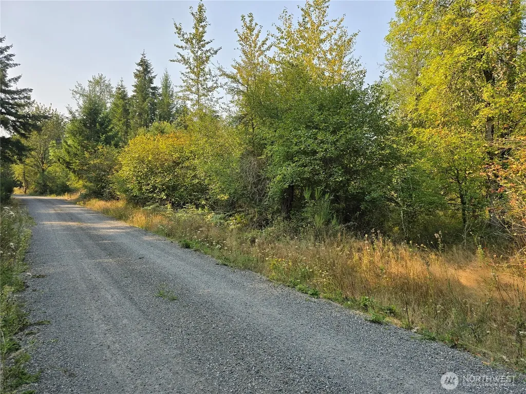 13849 Starflower Lane SE Yelm WA 98597