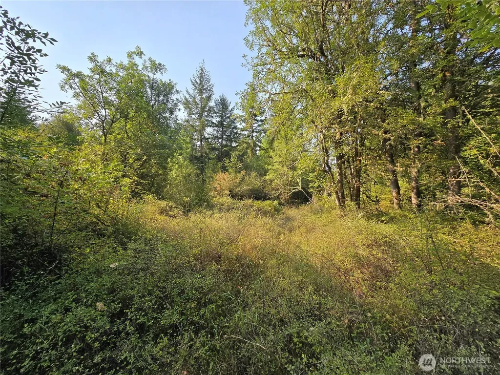 13849 Starflower Lane SE Yelm WA 98597