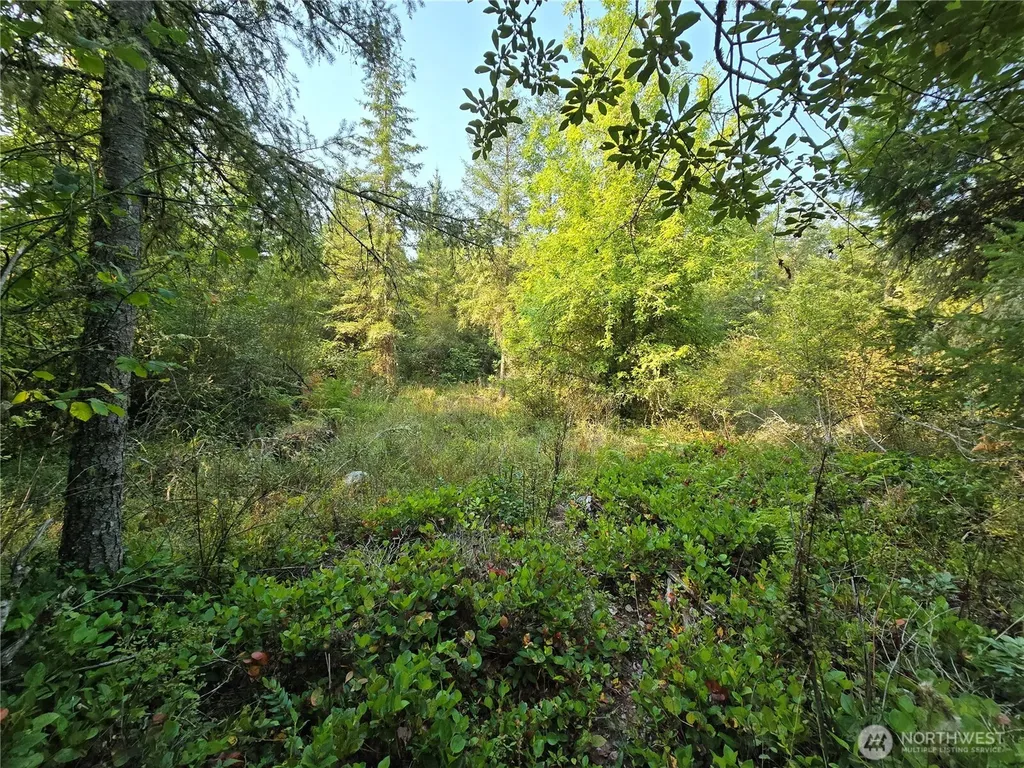 13849 Starflower Lane SE Yelm WA 98597