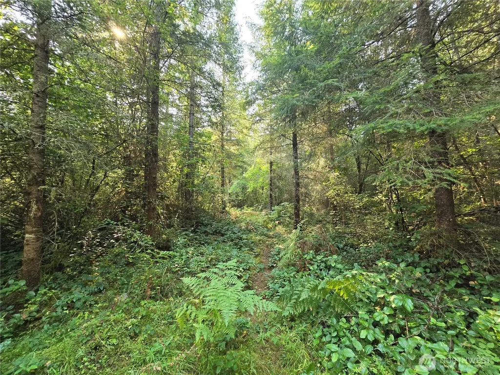 13849 Starflower Lane SE Yelm WA 98597