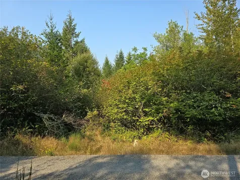 13849 Starflower Lane SE Yelm WA 98597
