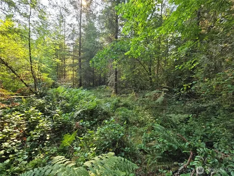 13849 Starflower Lane SE Yelm WA 98597