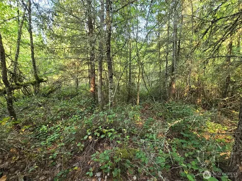 13849 Starflower Lane SE Yelm WA 98597
